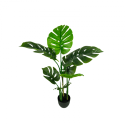 013-085-firstgreen.by-iskusstvennaya-monstera-85.jpg