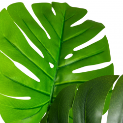 014-140-1-firstgreen.by-iskusstvennaya-monstera-140.jpg