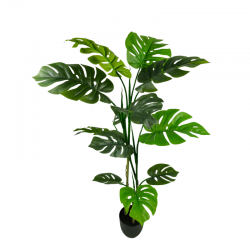 014-140-firstgreen.by-iskusstvennaya-monstera-140.jpg