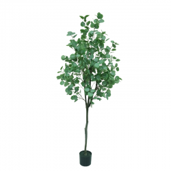 018-165-firstgreen.by‑iskusstvennyy‑evkalipt‑silver‑dollar‑165.jpg
