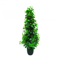 019-145-firstgreen.by‑iskusstvennyy‑ficus‑microcarpa‑145.jpg