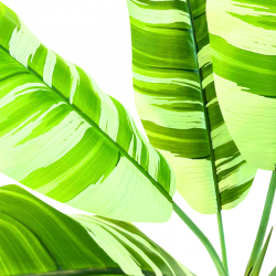 039-180-1-1-iskusstvennaya-bananovaya-palma-variegatnaya-180см-firstgreen.by