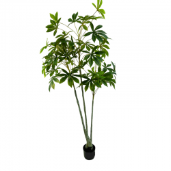 048-165-iskusstvennaya-pakhira-165см-firstgreen.by.png
