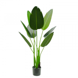 050-110-iskusstvennaya-bananovaya-palma-110см-firstgreen.by.png