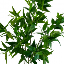 052-140-2-iskusstvennyi-evkalipt-limonnyi-140-sm-firstgreen.by.jpg