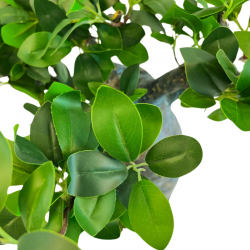 058-050-1-iskusstvennyy-bonsay-baobab-s-mkhom-50-sm-firstgreen.by.jpg