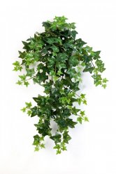 1135N-plyush-ampelnyy-zelenyy-70-110sm-firstgreen-treez.jpg