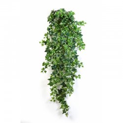 1137V-plyush-pestrolistnyy-ampelnyy-70-110sm-treez-firstgreen.jpg