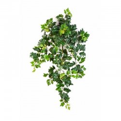 1190N-cissus-ampelnyy-70-90sm-iskusstvennaya-liana-treez-firstgreen.jpg