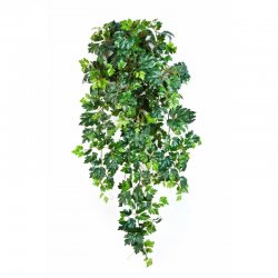 1191N-cissus-ampelnyy-70-90sm-iskusstvennaya-liana-treez-firstgreen.jpg