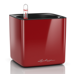 lechuza-cube-glossy-16-firstgreen.by.jpg