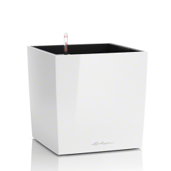 lechuza-cube-premium-50-firstgreen.by.jpg