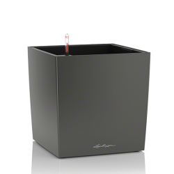lechuza-cube-premium-40-firstgreen.by.jpg