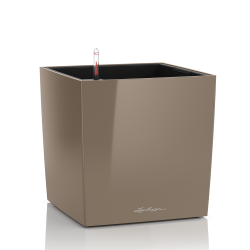 lechuza-cube-premium-50-firstgreen.by.jpg
