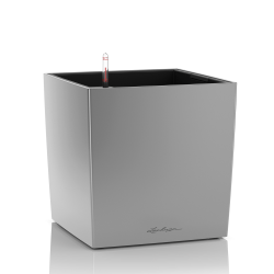 lechuza-cube-premium-50-firstgreen.by.jpg