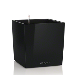 lechuza-cube-premium-50-firstgreen.by.jpg