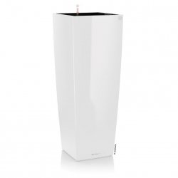 firstgreen.by-cubico-alto-premium-40