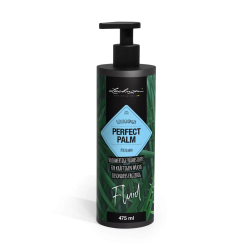firstgreen.by-lechuza-perfect-palm-fluid-475ml.jpg