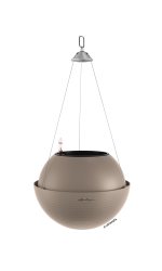Lechuza_Bola_Color_32_бежевый
