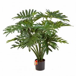 51003N-iskusstvennyi-filodendron-60-90-125-sm-treez-firstgreen.by.jpg