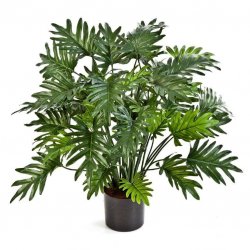 51102N-iskusstvennyy-filodendron-sellum-75-100-sm-treez-firstgreen.by.jpg