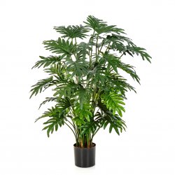 51103Niskusstvennyy-filodendron-sellum-75-100-sm-treez-firstgreen.by.jpg
