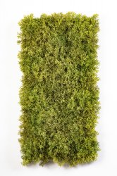 5960FR-iskusstvennyi-kover-mkha-25x50-sm-treez-firstgreen.by.jpg