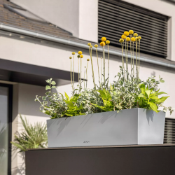 firstgreen.by_lechuza-balconera-steel-50-80.jpg