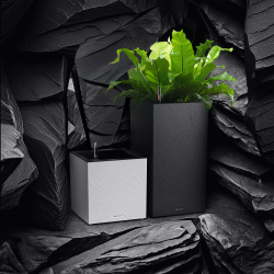 firstgreen.by-canto-slatestone-30-low.jpg
