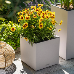 firstgreen.by-canto-slatestone-30-low.jpg