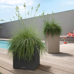 firstgreen.by-canto-stone-30-low.jpg