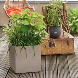 firstgreen.by-canto-stone-30-low.jpg