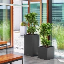 firstgreen.by-canto-stone-40-low.jpg