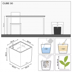 lechuza-cube-premium-30-firstgreen.by.jpg