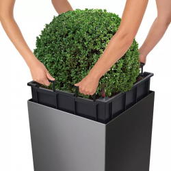 lechuza-cube-premium-50-firstgreen.by.jpg
