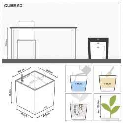 lechuza-cube-premium-50-firstgreen.by.jpg