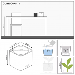 lechuza-cube-color-14-firstgreen.by.jpg