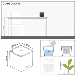 lechuza-cube-color-16-firstgreen.by.jpg
