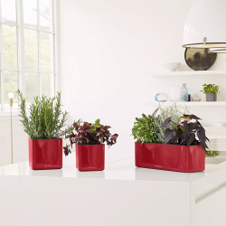 green-wall-home-kit-glossy-lechuza-firstgreen.by.jpg