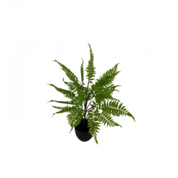 GP-023-060-firstgreen.by‑iskusstvennyy‑paporotnik‑60.jpg