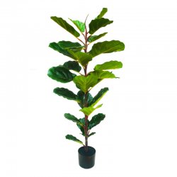 GP-024-120-firstgreen.by‑iskusstvennyy‑fikus‑lirata‑120.jpg
