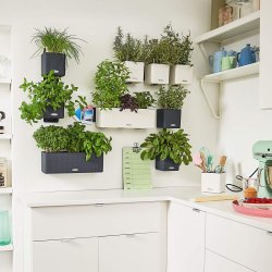 Green Wall Home Kit Color schiefergrau.jpg