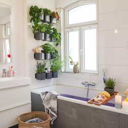 green-wall-home-kit-glossy-lechuza-firstgreen.by.jpg