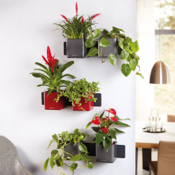 green-wall-home-kit-glossy-lechuza-firstgreen.by.jpg