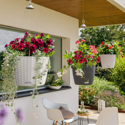 lechuza-nido-cottage-35-firstgreen.by.jpg