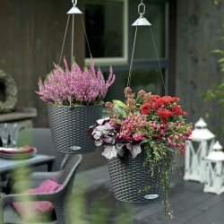 lechuza-nido-cottage-35-firstgreen.by.jpg