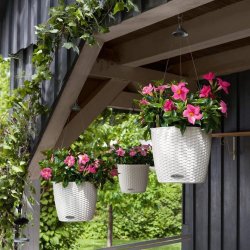 lechuza-nido-cottage-28-firstgreen.by.jpg