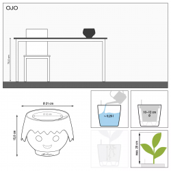 lechuza-ojo-firstgreen.by.jpg