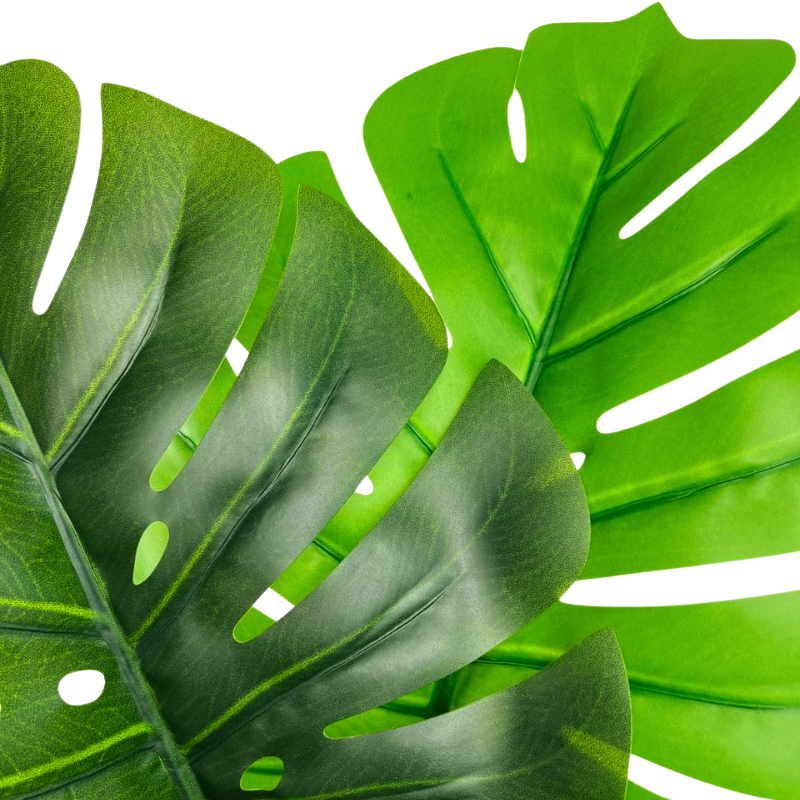 013-085-1-firstgreen.by-iskusstvennaya-monstera-85.jpg