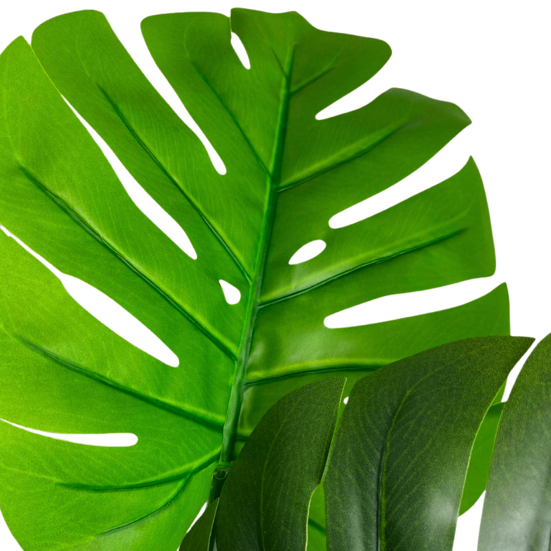 014-140-1-firstgreen.by-iskusstvennaya-monstera-140.jpg